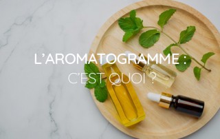 L'aromatogramme des huiles essentielles
