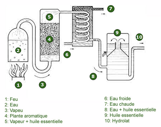 Tout savoir sur les différentes méthodes de distillation