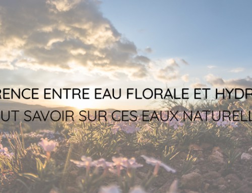 Différence entre Eau florale et Hydrolat : tout savoir sur ces eaux naturelles.